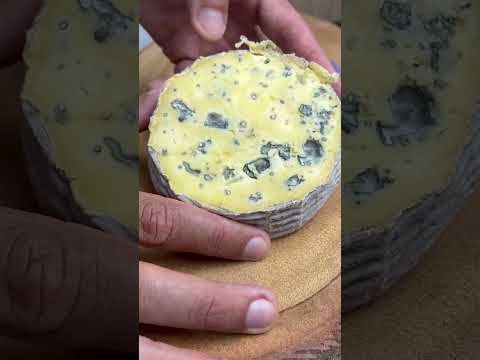 Conheça o Queijo Azul de Bofete! Intenso e cremoso! 🧀
