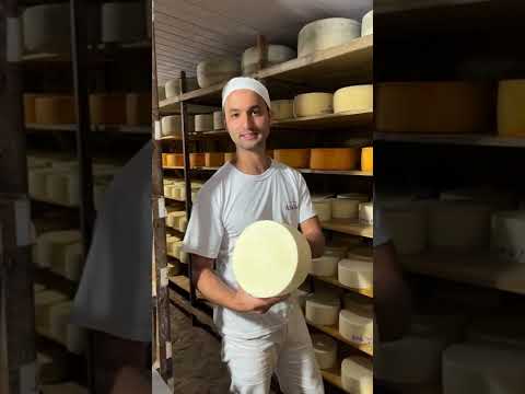 A Maturação do Queijo Mantiqueira