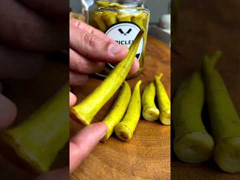 Qual destes Picles é o seu preferido? 🥒