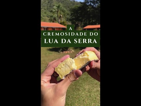 Você precisa provar esse queijo!