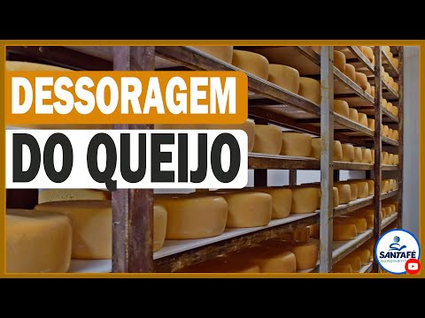 Dessoragem do Queijo Artesanal: Como Fazer?