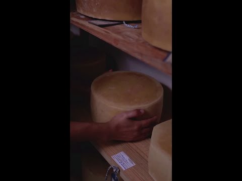 Queijo de 6 meses de maturação