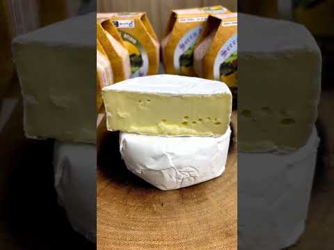 O famoso Queijo Camembert 🧀 🇫🇷