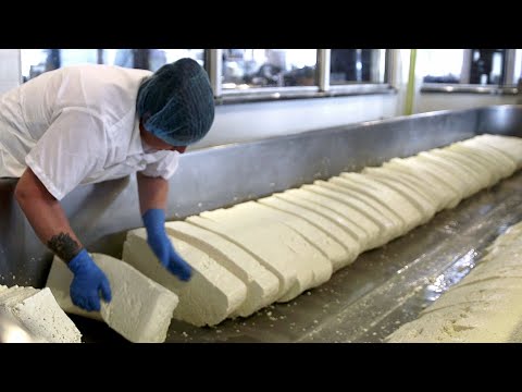 Queijo: O Guia Definitivo! (em 10 minutos) - 4