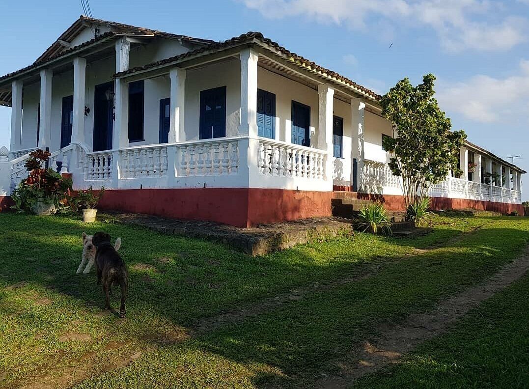 Guilherme e a Fazenda Capela Velha
