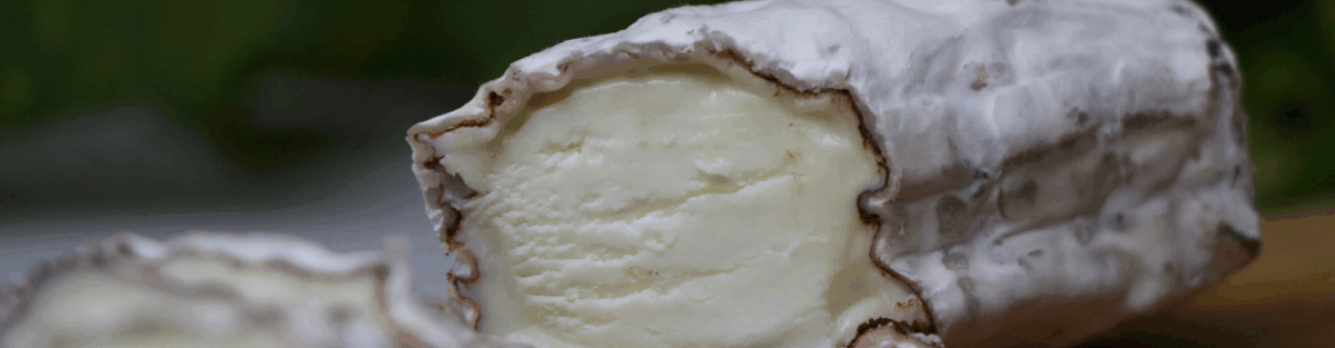 OS BENEFÍCIOS DO QUEIJO DE CABRA