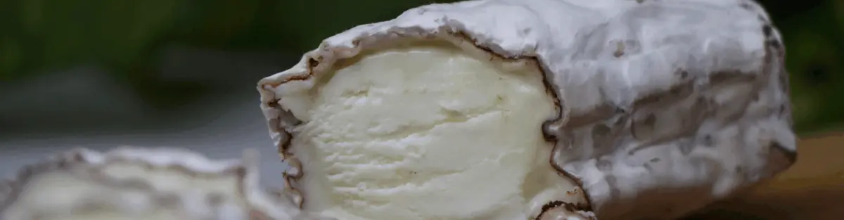 OS BENEFÍCIOS DO QUEIJO DE CABRA - 1