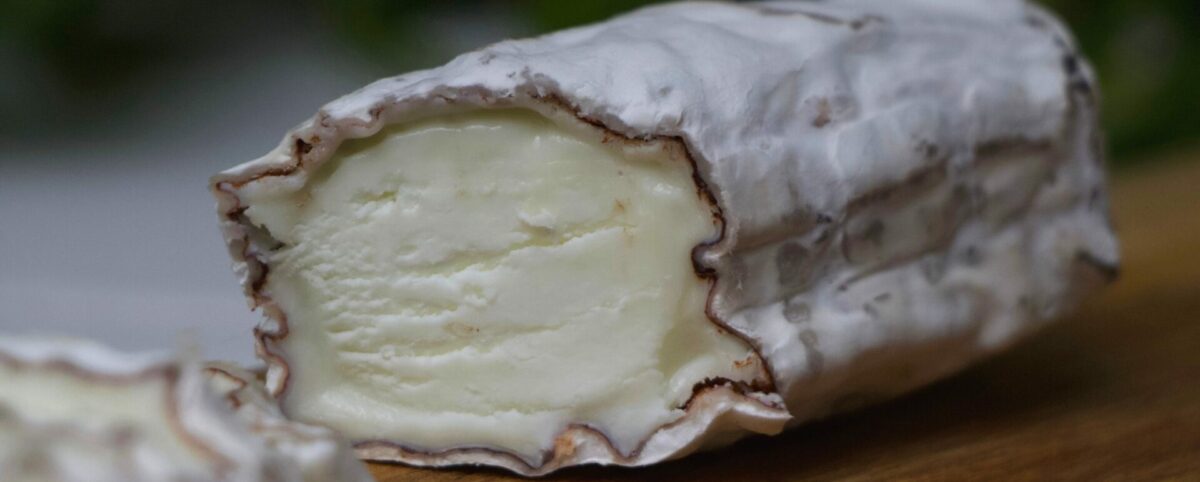 Queijo de Cabra – Tudo o que você precisa saber em 5 minutos!