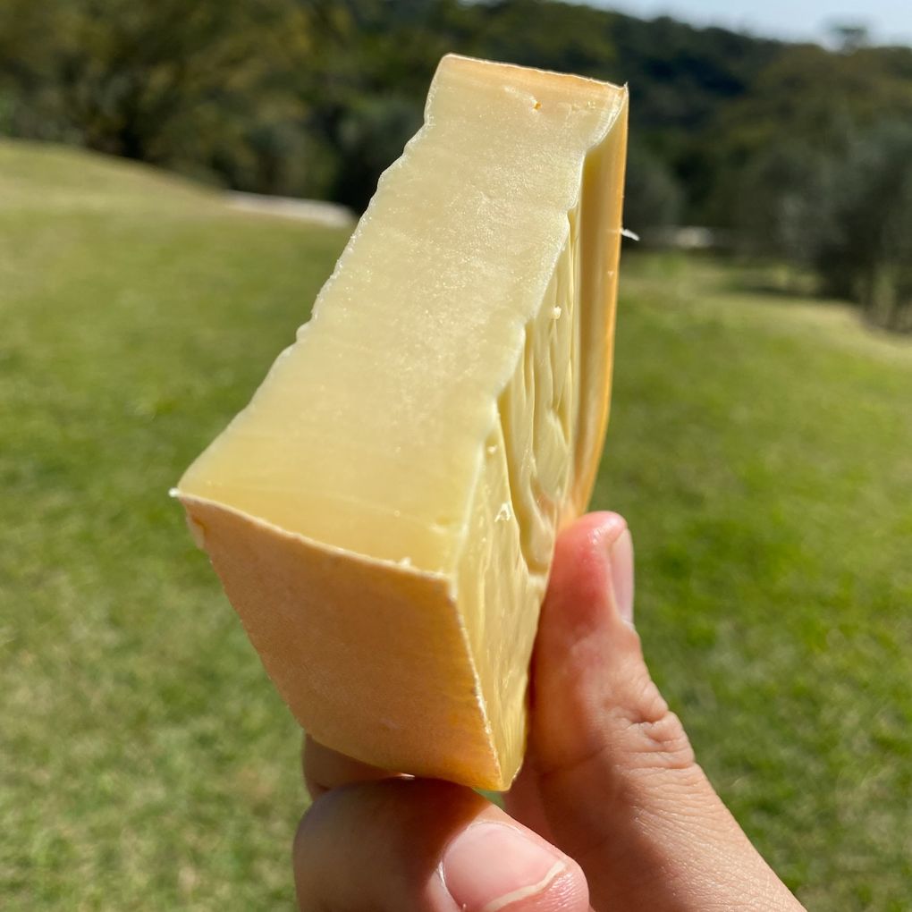 Queijo Quina - Pé do Morro -1