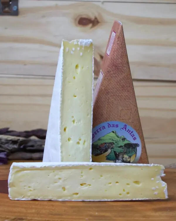 Queijo Brie