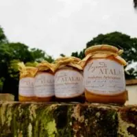 Seleção de Outono - 7 Produtos