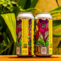 Verso da lata da cerveja ZN Lager, mostrando a lista de ingredientes, informações de fabricação como lote e validade, e o QR code da fábrica.