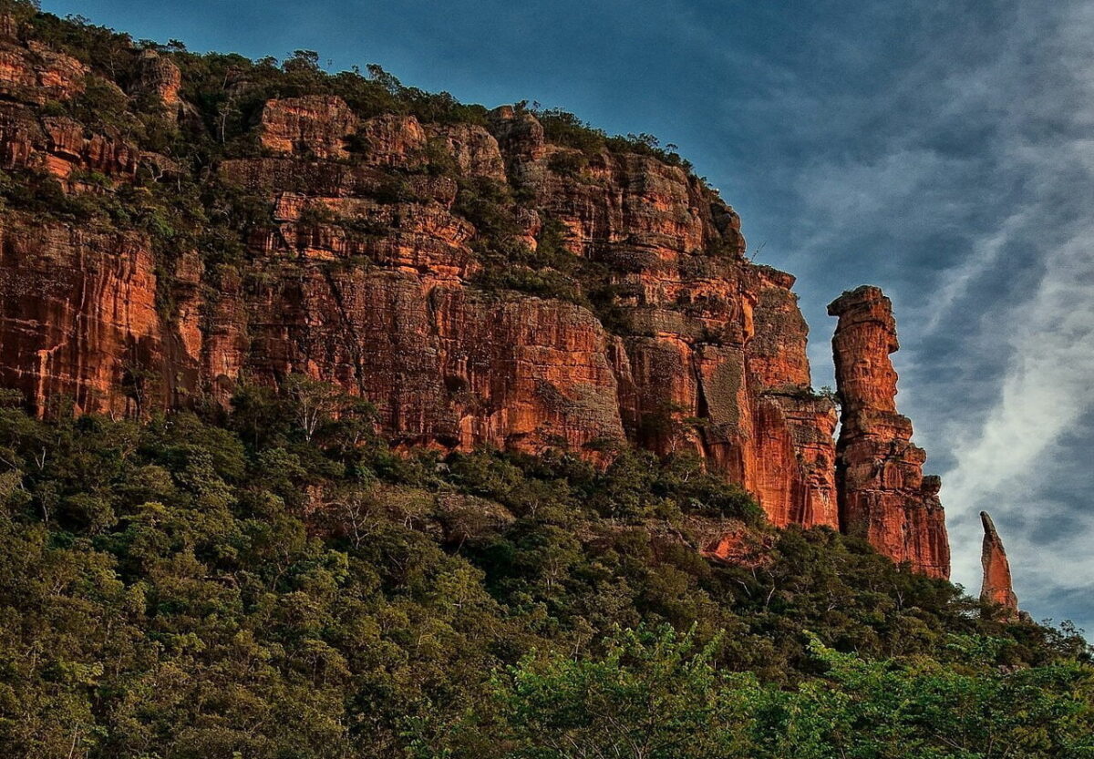 Favo de Mel Puro - Florada de Acácia - Casa Roncador - 500g -2