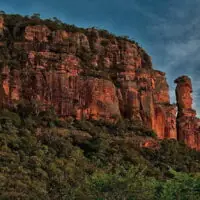 Categoria - Mato Grosso