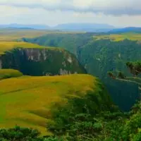 Categoria - Rio Grande do Sul