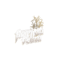 Cachaça Prata - Engenho Fazenda Velha - 670ml -3