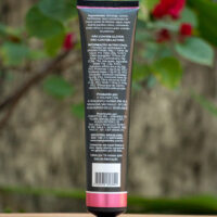 Geleia de Frutas Vermelhas Zero Açúcar - Compotas Ibá - 125g (Bisnaga)