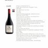 Vinho Tinto Cauré Syrah 2021 - 750 ml - 4