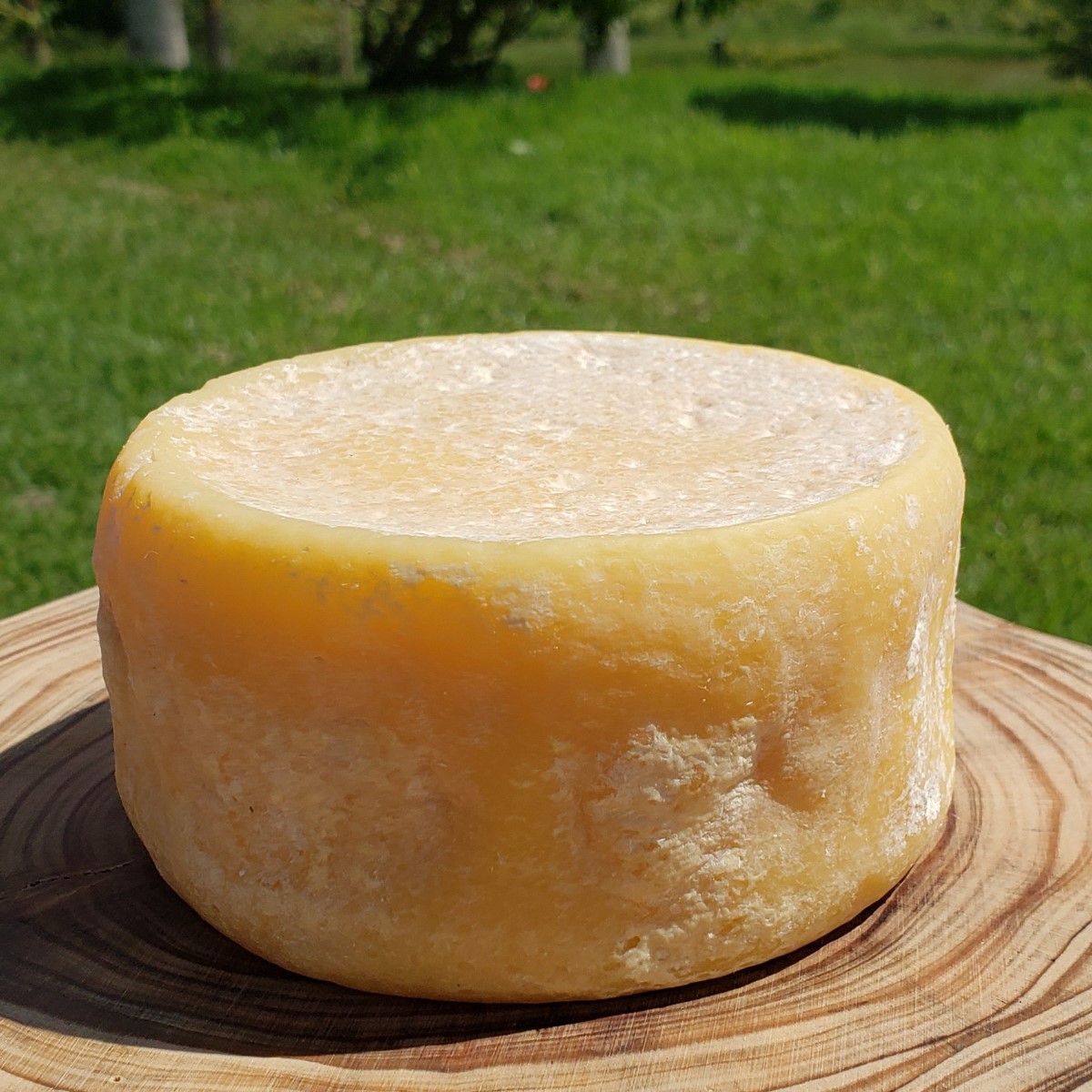 Queijo Sant’Anna (vaca e cabra) – Artelatte – 200g (aprox.)