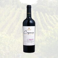 Tinto Ancellota