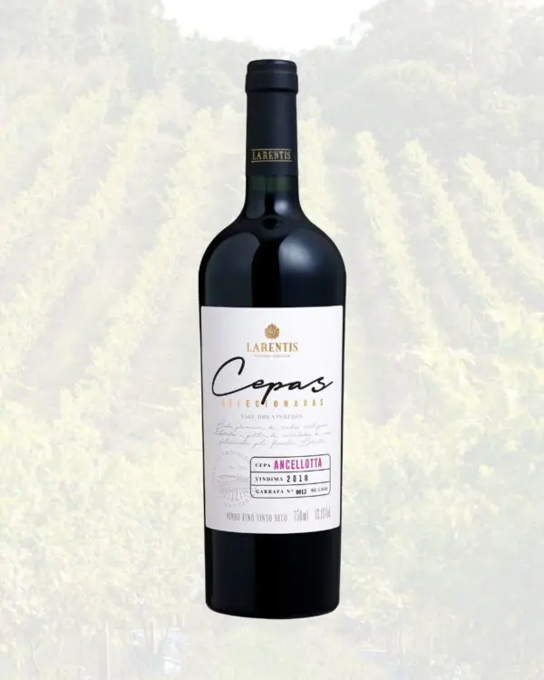 Tinto Ancellota