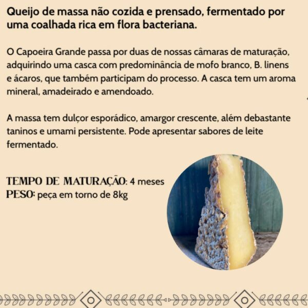 Queijo Capoeira Grande - Queijaria Santo Antônio - 230g - 2