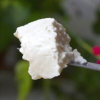 Queijo Frescal com Iogurte - Queijo com Arte - 500g (aprox.) -1