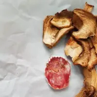 Salame Porcini - Salumeria Mayer - 190g