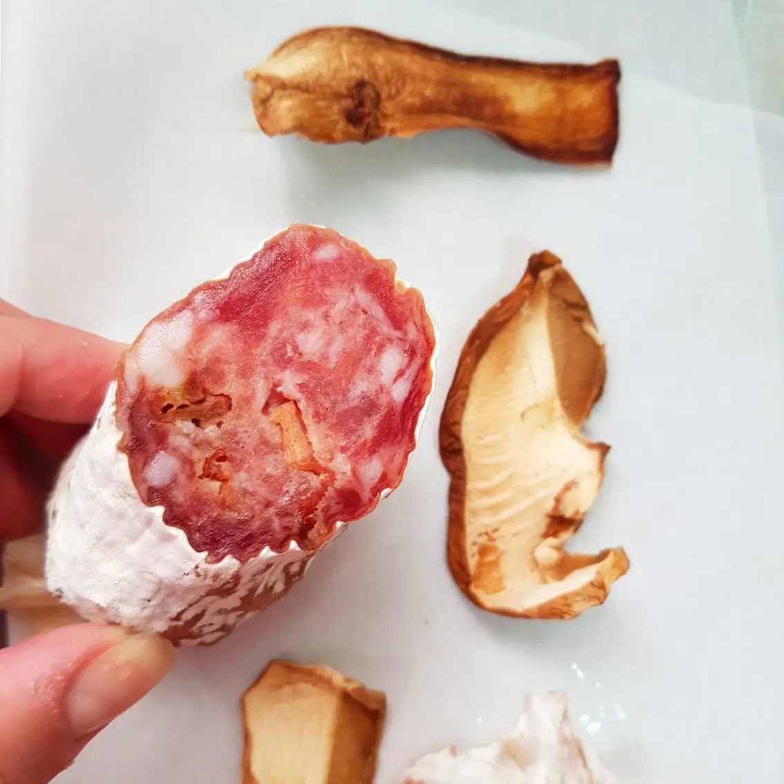 Salame Porcini - Salumeria Mayer - 190g