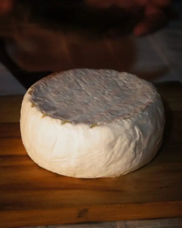 Queijo Nuvem de Cabra - Fazenda Atalaia - 260g (aprox.) Queijo Nuvem de Cabra - Fazenda Atalaia - 260g (aprox.)