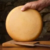 Queijo Quina - Pé do Morro