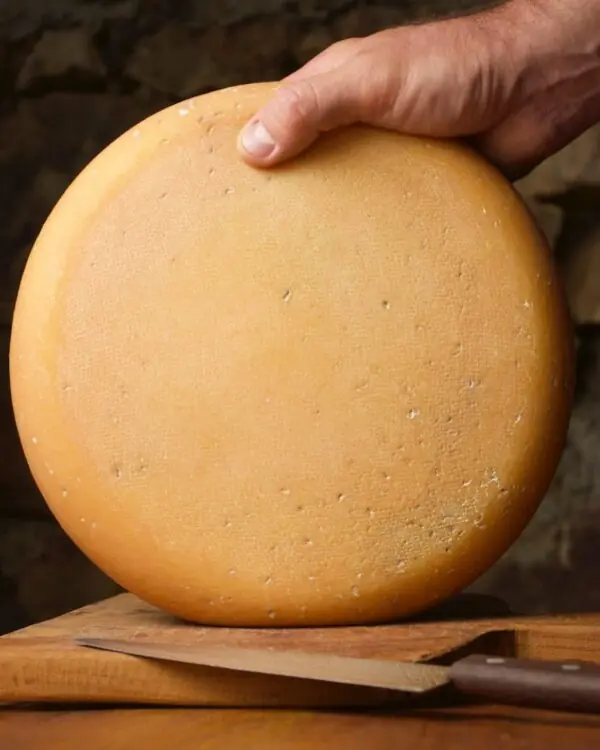 Queijo Quina - Pé do Morro Queijo Quina - Pé do Morro