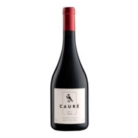 Syrah