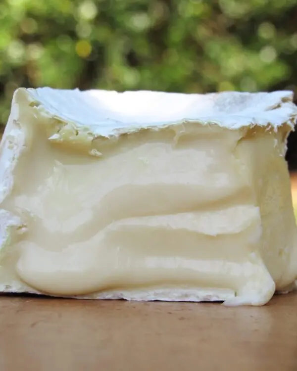 Queijo Cândido - Queijo com Arte - 200g (aprox.)