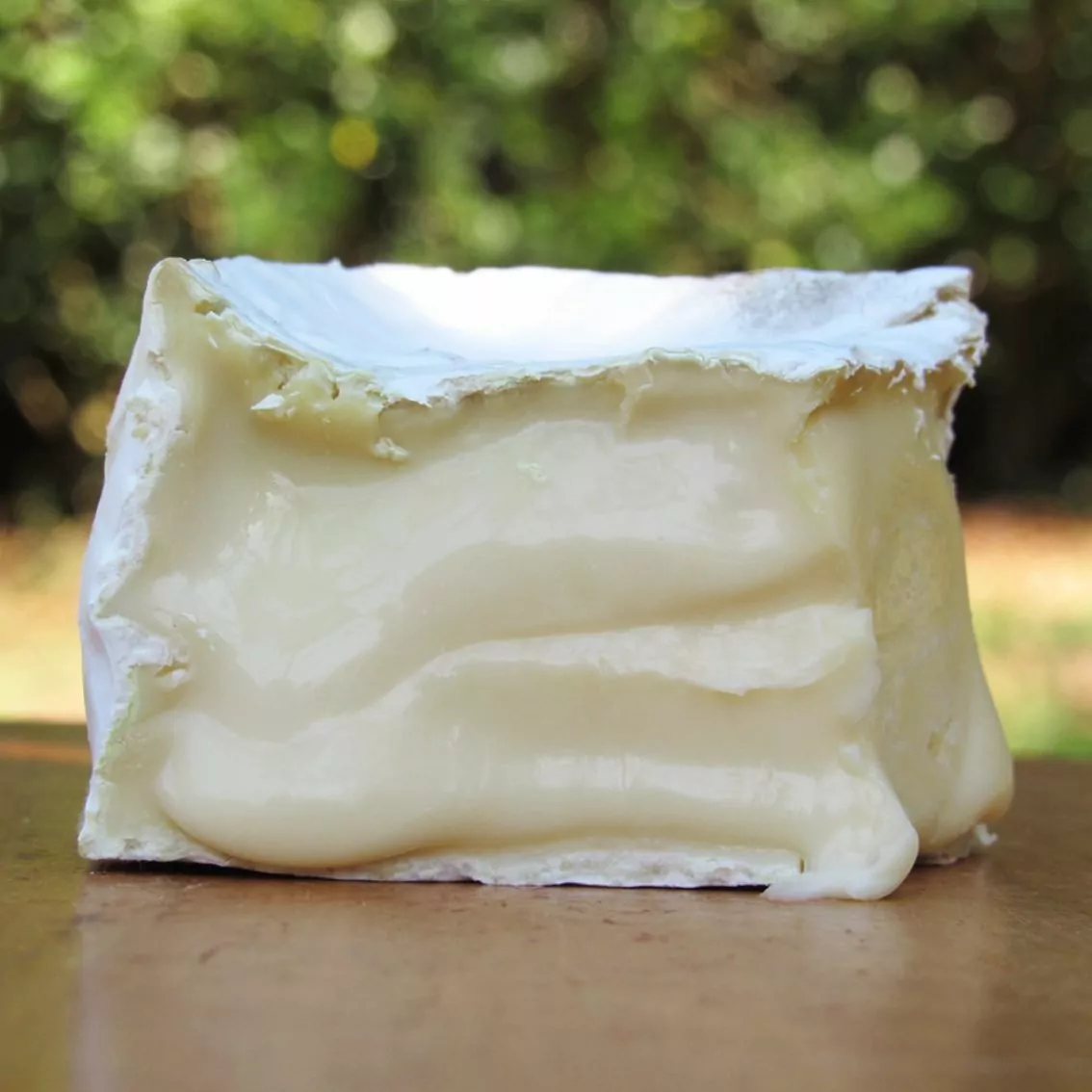 Queijo Cândido – Queijo com Arte – 200g (aprox.)