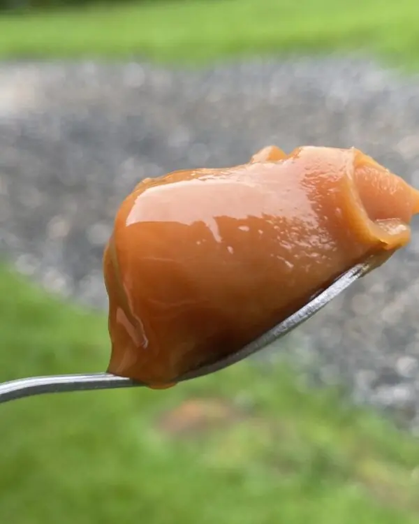 Doce de Leite Cremoso - Queijaria Santo Antônio - 260g -1