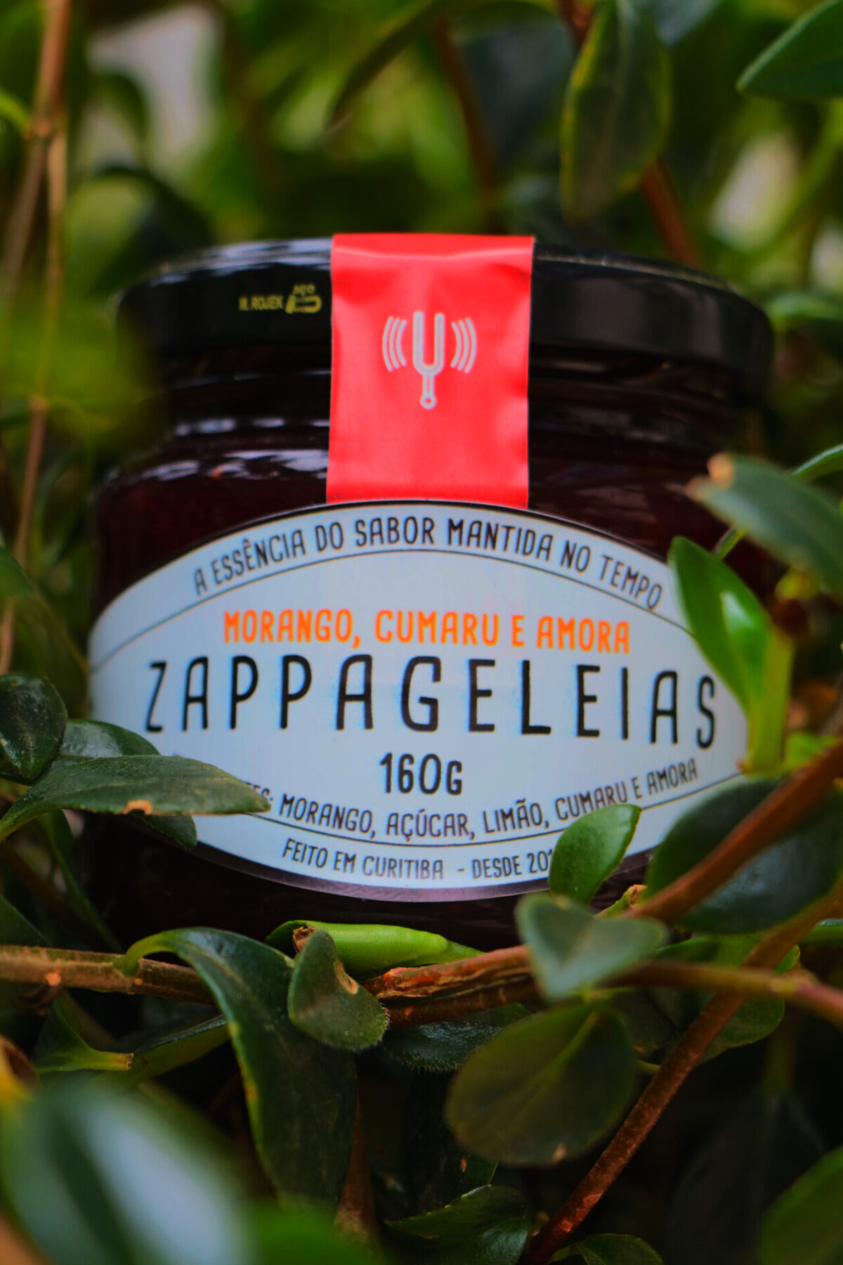 Pote de Geleia Zappa entre folhagens verdes com ingredientes naturais visíveis no rótulo Pote de Geleia Zappa entre folhagens verdes com ingredientes naturais visíveis no rótulo
