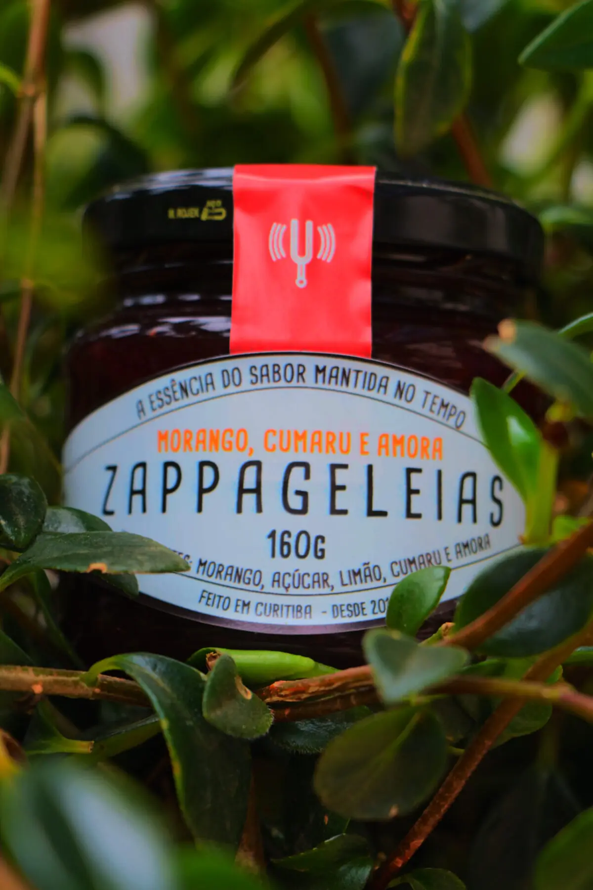 Geleia de Morango, Cumaru e Amora Pote de Geleia Zappa entre folhagens verdes com ingredientes naturais visíveis no rótulo