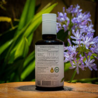 Azeite Extra Virgem - Borriello