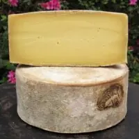 Queijo Fernão - Queijo com Arte - 250g (aprox.)