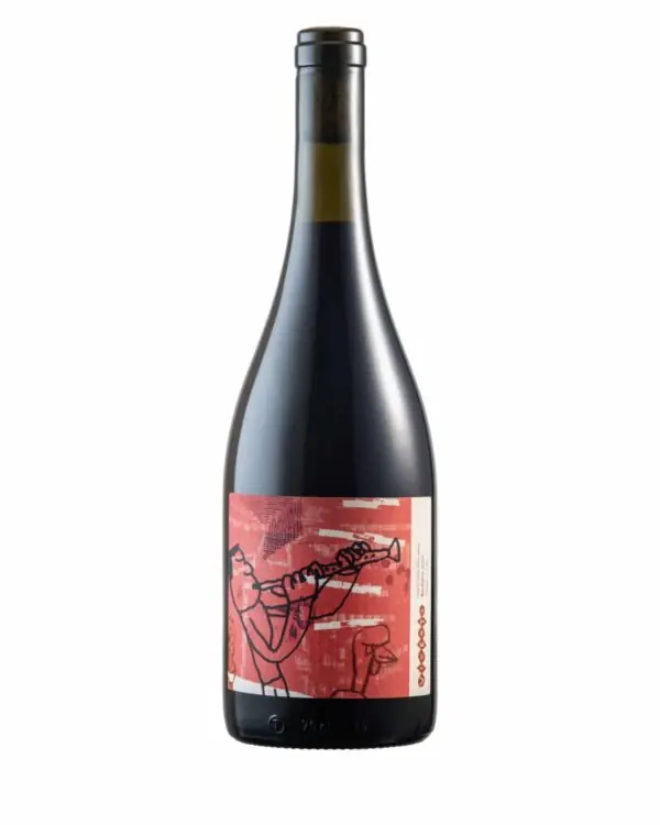 Vinho Vivente Tinto Barbera 2020