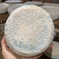 Queijo Bem Brasil - Bela Fazenda - 500g  (aprox.)
