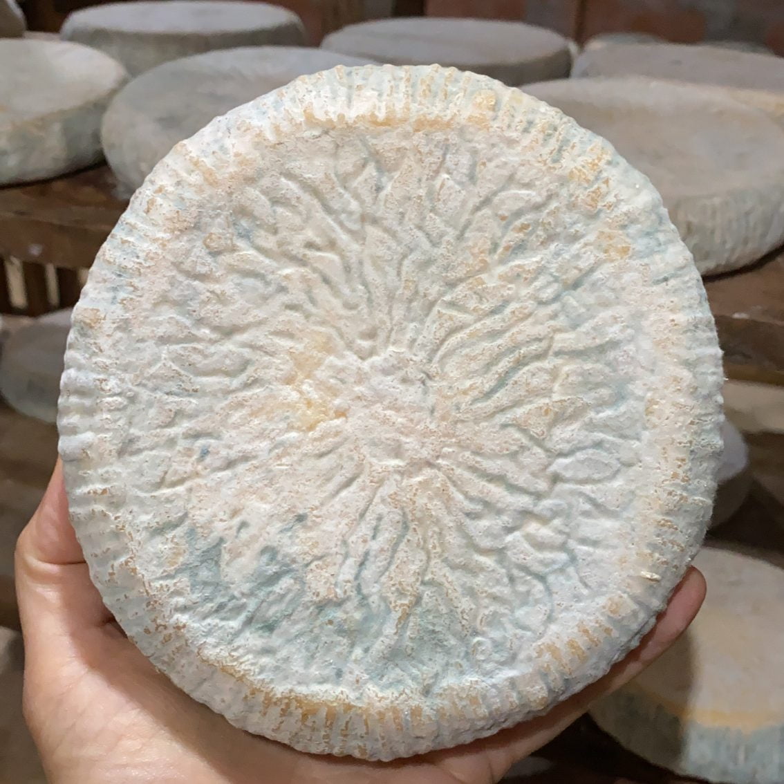 Queijo Bem Brasil - Bela Fazenda - 500g  (aprox.)