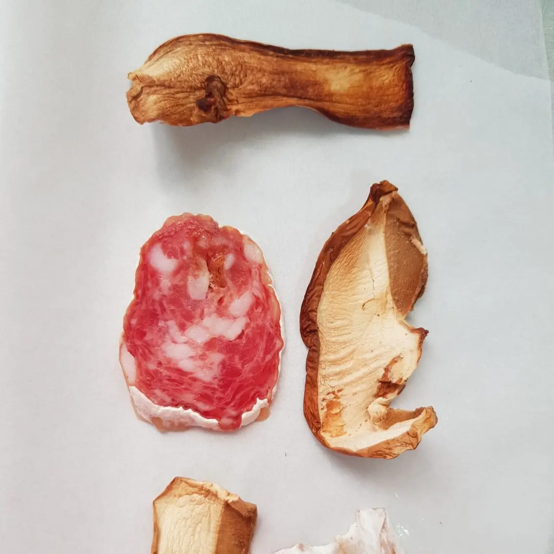 Salame Porcini - Salumeria Mayer - 190g