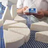 fcb2556861e7aa7aad7df1bbe7db8c5a.jpg Queijo Cândido - Queijo com Arte - 200g (aprox.)