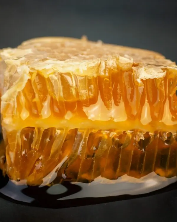 Favo de Mel - MBee - 150g