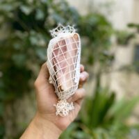 Bacon Defumado Jais Handmade Bacon Defumado Jais Handmade