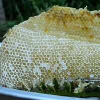 Mel Branco Cânions Gaúchos