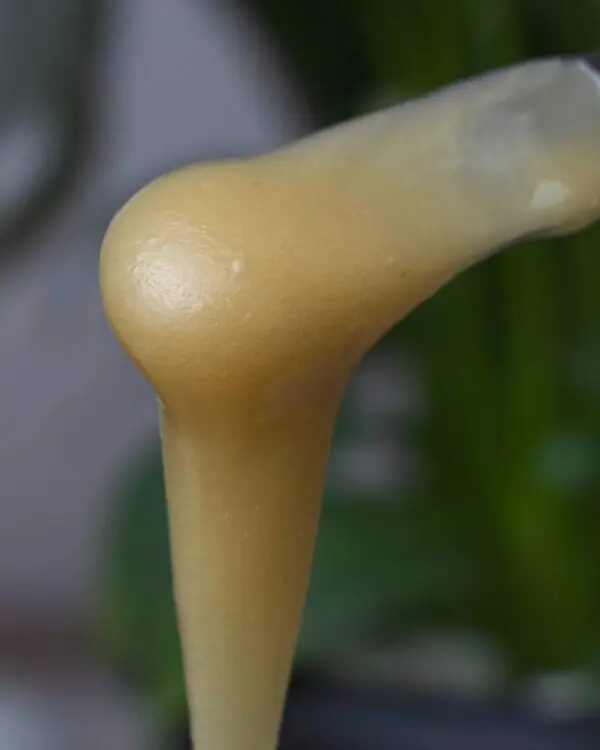 Mel Puro Cremoso - Casa Roncador - 240g -1