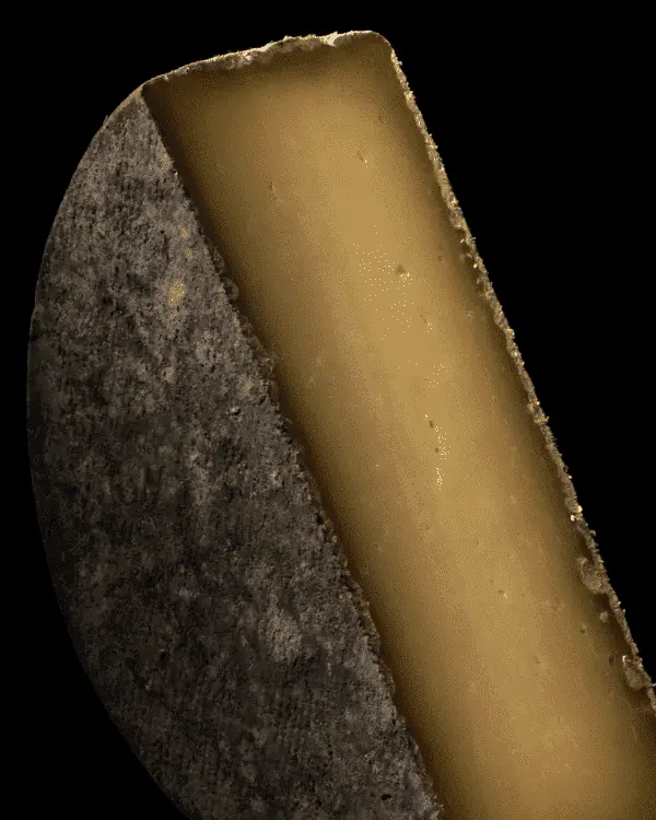 Seleção Assinada - Anna Fasano (6 itens) -1